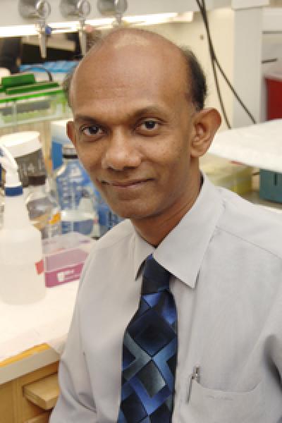 Dr. Chandra Mohan, UT Southwestern Medical Center