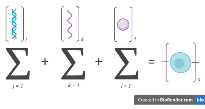 interaction of biopolymers