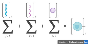 interaction of biopolymers