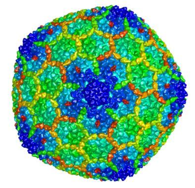 Memory Gene Acts like a Virus