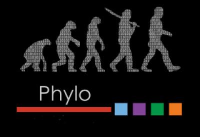 Phylo