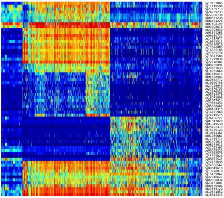 DNA Methylation Heatmap