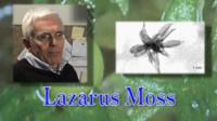Lazarus Moss
