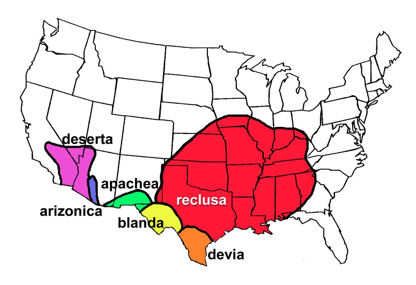 Geographic Range of Species of Recluse Spiders