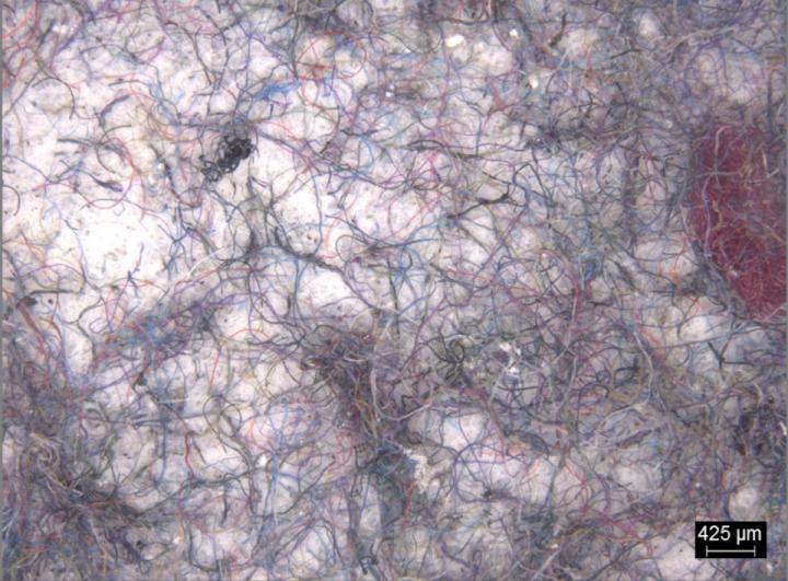 Microfibers Filtered from Washing Loads