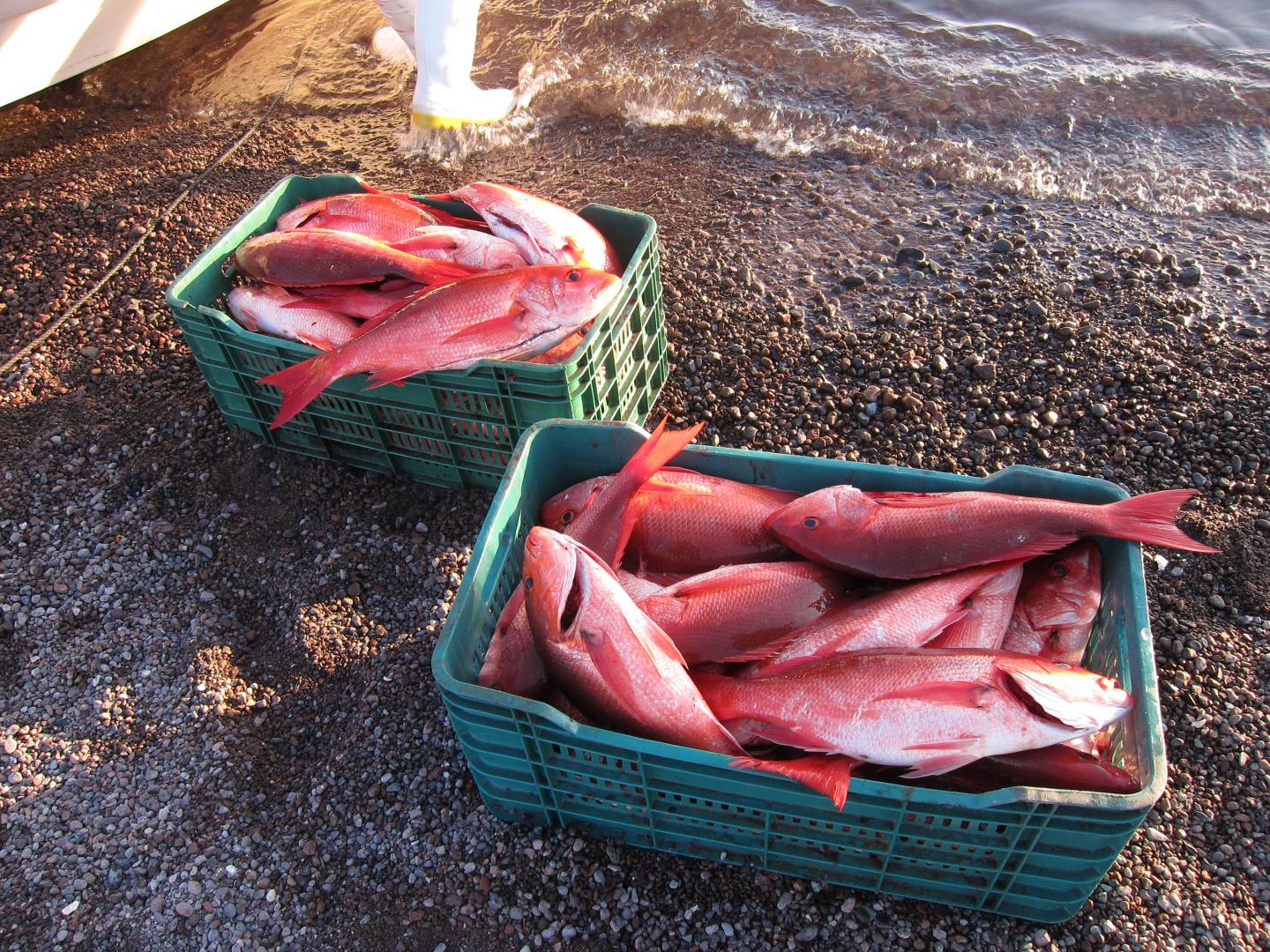 In Small Fishing Communities, Marine Protected Areas May Produce Changes in Group Behavior (5 of 9)