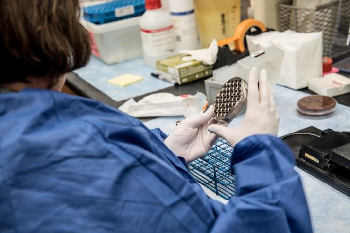 Zoliflodacin Phase 3 Launch