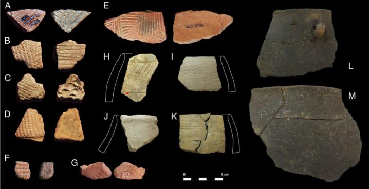 Examples of potsherds analysed