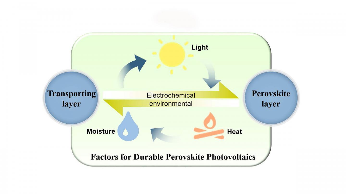 Electrochemical and environmental factors affecting the performance of perovskite photovoltaic solar cells