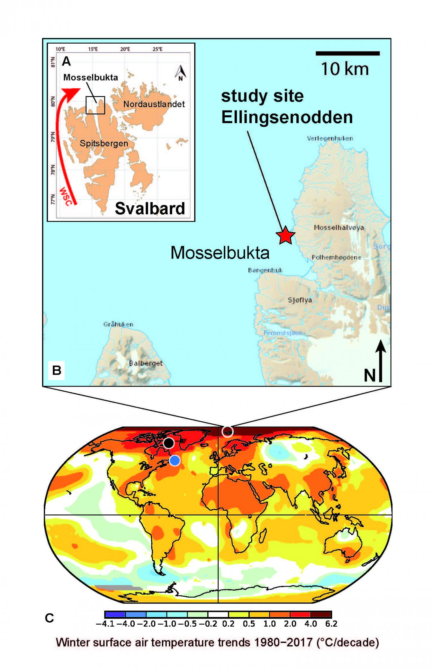 Study Area and Surface Air Temperature Trends