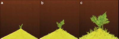 Water Droplet (2 of 2)