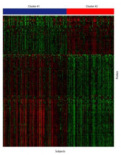 Genetic Signature Reveals New Way to Classify Gum Disease