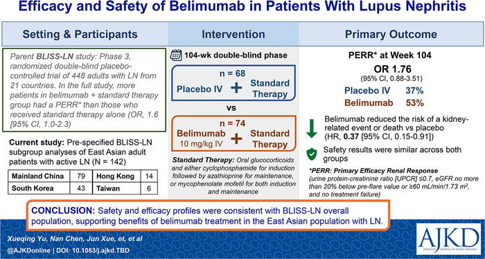 Efficacy and Safety of Belimumab in Patients With Lupus Nephritis
