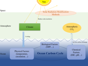 Venture capital and carbon credits fuel an explosion of marine  geoengineering projects – Geoengineering Monitor