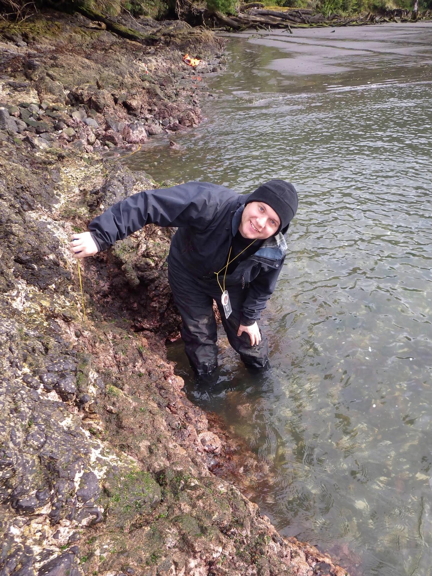 Algae band and 2016 Chiloé Earthquake 2