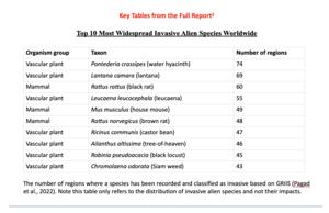Top 10 Most Widespread Invasive Alien Species Worldwide
