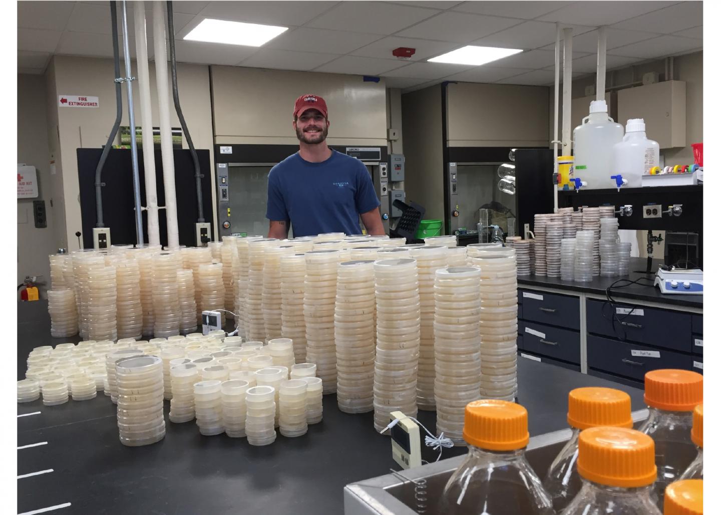 Researcher Petri Dishes