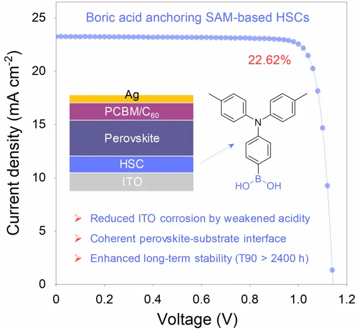 TOC image of the boric acid anchoring SAM based perovskite solar cells.