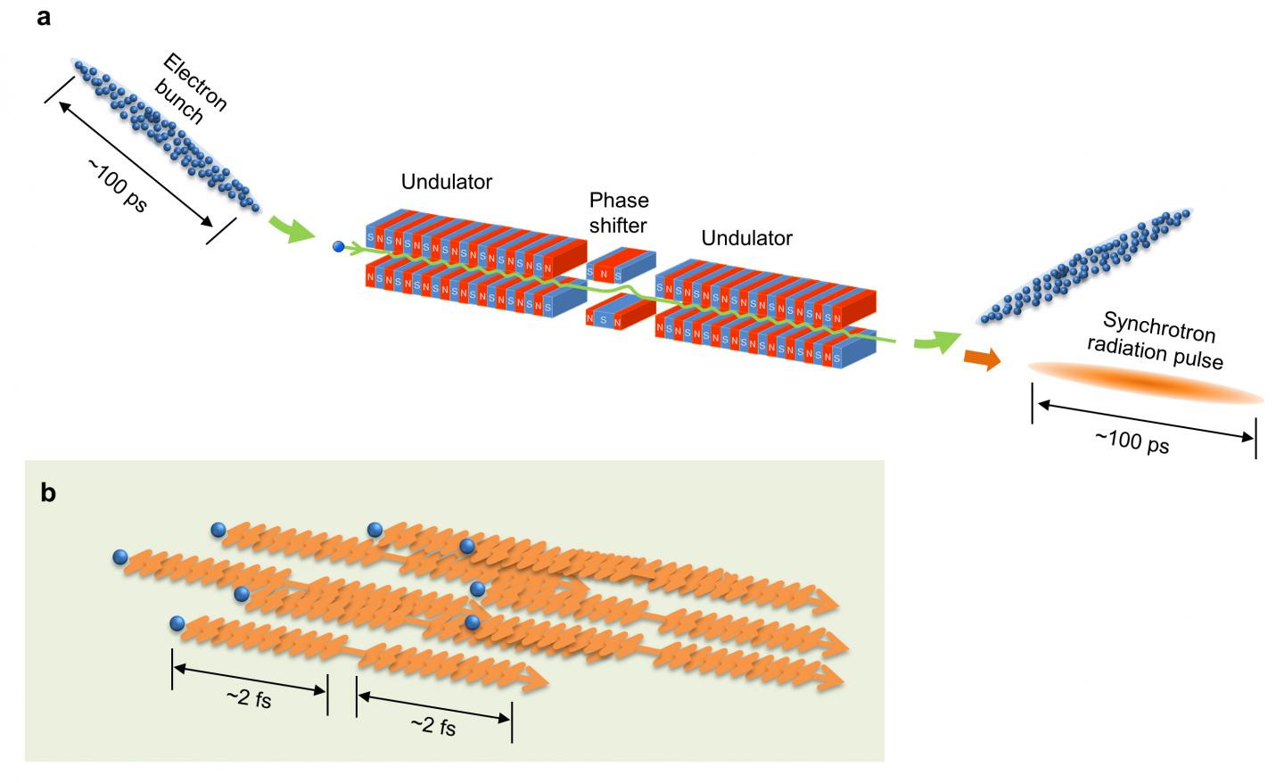 Schematic diagram