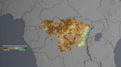 Congo Rainforest: A Browning Trend