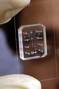 Microfluidic Chip 2