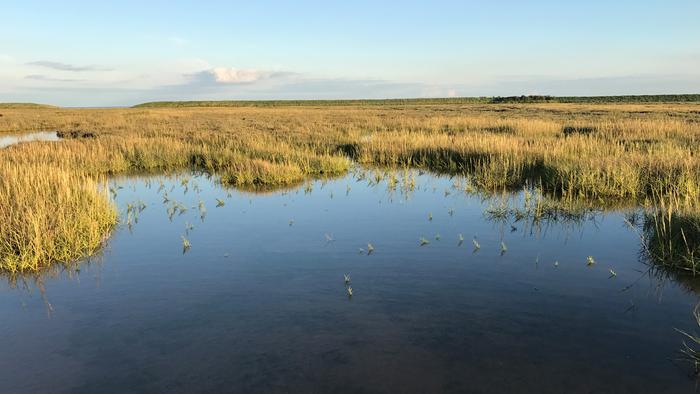 Low lying area behind a dike