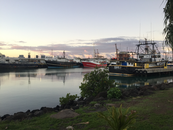 Fishing boats at dawn in Honolulu Harbor