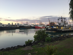 Fishing boats at dawn in Honolulu Harbor