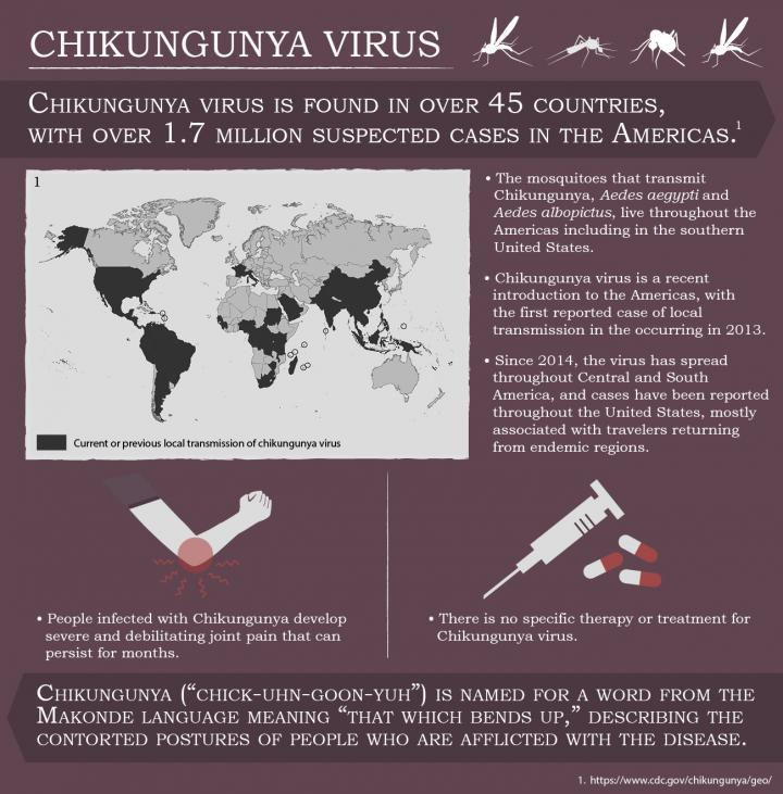 Repurposing Two Autoimmune Drugs for Chikungunya Virus