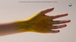 Animation of skin going transparent in newly discovered technique