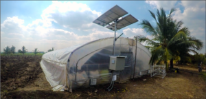 solar greenhouse dryer.png