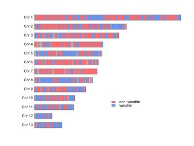 Genome Map