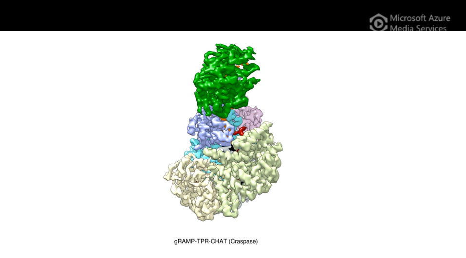 New CRISPR-Cas system with on-off switch cuts proteins