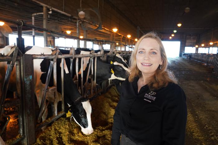 Improving the life of dairy farmers