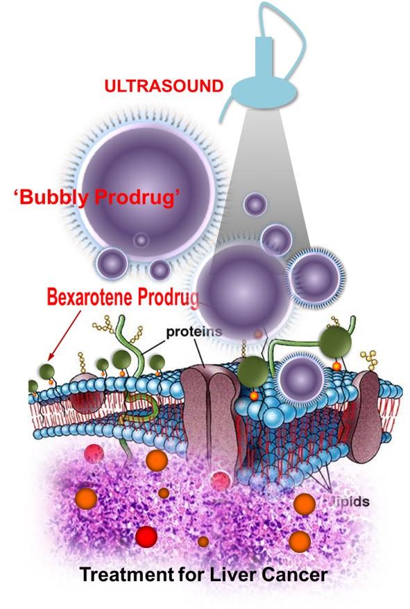 Drug-laden Nanobubbles