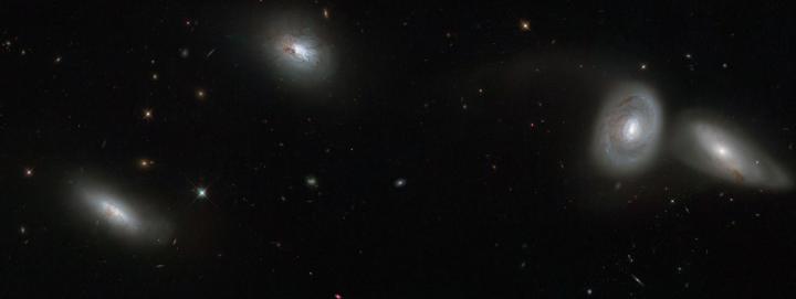 Hubble Views Bizarre Cosmic Quartet HCG 16