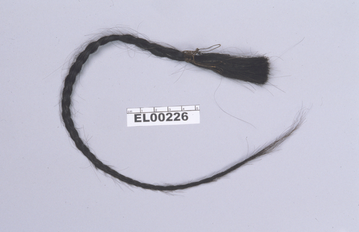 Lock of hair from Sitting Bull