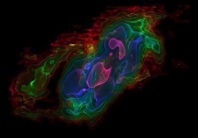 3-Dimensional View of ALMA Observations of the Outflows from NGC 253