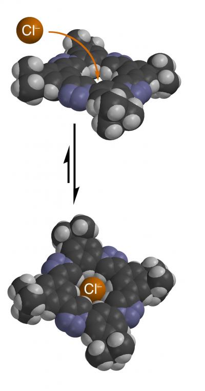 Binding Molecule