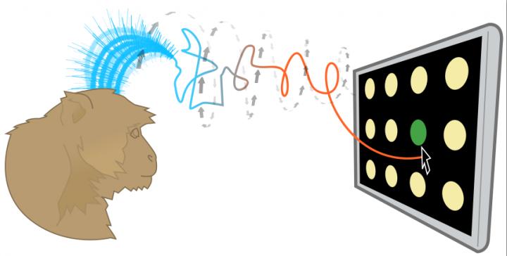 Stanford Team Makes Thought-Controlled Cursor More Precise