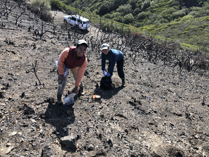 Students sampling