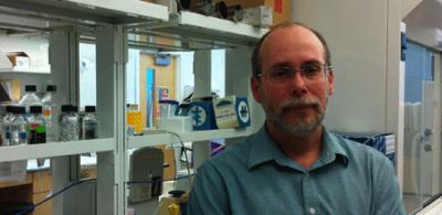 John Tavis, Ph.D., Saint Louis University