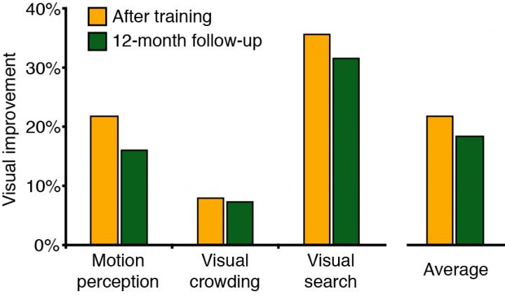 Range of Visual Improvement