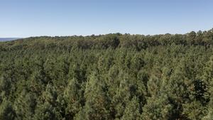 Livestock and Forestry Research Station