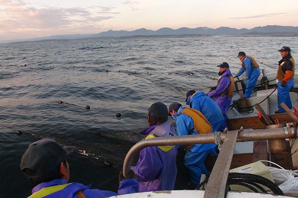 Fisheries Resilience Following Tohoku Tsunami