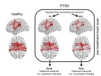 Unique Patterns of Brain Activity Predict Treatment Responses in Patients with PTSD (2 of 2)