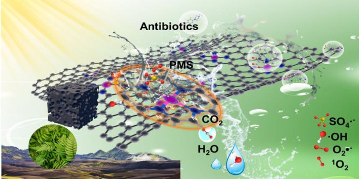 Upcycling biomass waste into Fe single atom catalysts for pollutant control