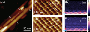 AFM image of the cellulose-water interface.