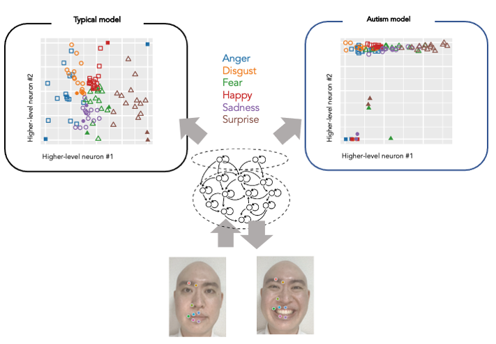 Neural Network Model Shows Why People with Autism Read Facial Expressions Differently