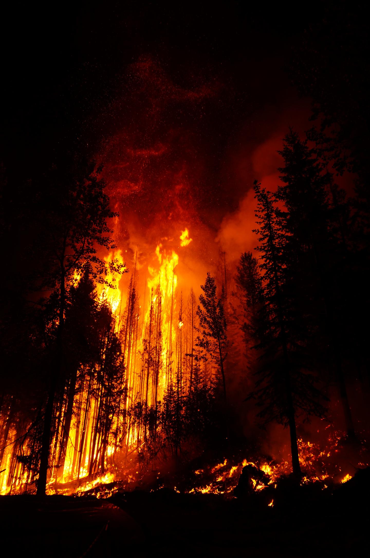 Noisy Creek Fire of 2017